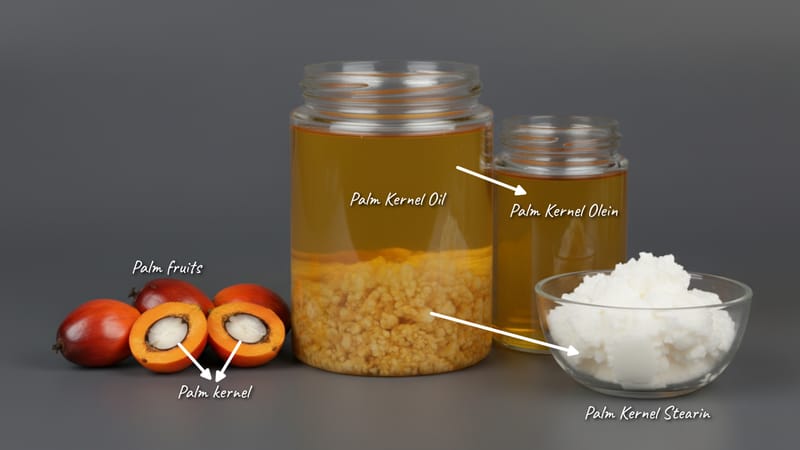 Palm Kernel Olein – wholesale edible oil and wax product from Bio Green Chem